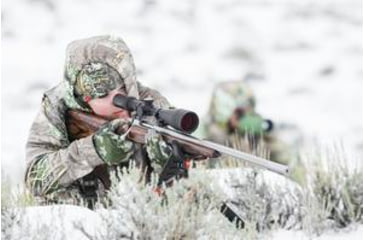 Image of Predator hunting during winter with spotter in background