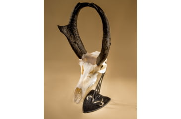 Image of Hunters Specialties SKH-RTTH-ASSY-BLK Realtree Table Hooker Small/Mid-Size Game SKHRTTHASSYBLK