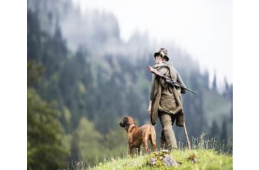 Image of What Does a Hunting Dog Need?