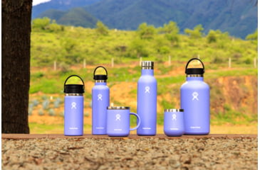 Image of Hydro Flask 10 Oz Ceramic Wine Tumbler, Lupine, 10 oz, VC10CP474