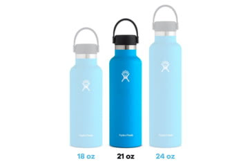 Image of Hydro Flask 21 oz Standard Mouth Flex Cap, Snapper, S21SX604