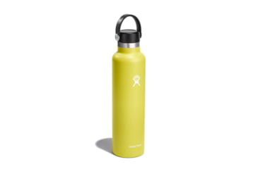 Image of Hydro Flask 24 Oz Standard Flex Cap, Cactus, 24 oz, S24SX752
