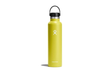 Image of Hydro Flask 24 Oz Standard Flex Cap, Cactus, 24 oz, S24SX752