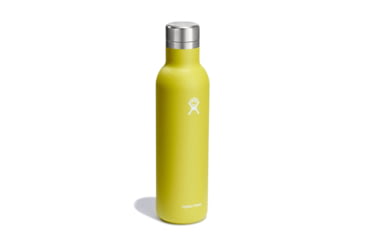 Image of Hydro Flask 25 Oz Ceramic Wine Bottle, Cactus, 25 oz, VC25752
