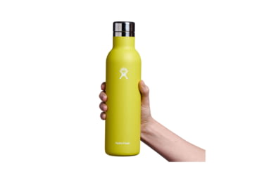Image of Hydro Flask 25 Oz Ceramic Wine Bottle, Cactus, 25 oz, VC25752