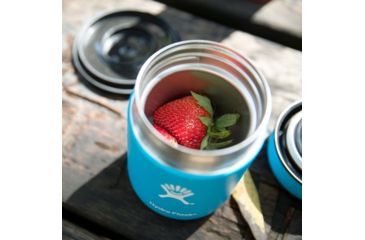 Image of Hydro Flask Insulated Food Flask, Watermelon, 12 oz., F12B618