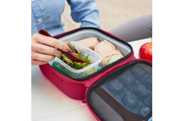 Image of Hydro Flask Insulated Lunch Box, Small, Snapper, LBS604