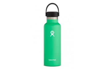 Image of Hydro Flask Standard Mouth, Spearmint, 18 oz., S18SX340
