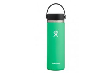 Image of Hydro Flask 20oz Wide Mouth Flask, Spearmint, W20BTS340