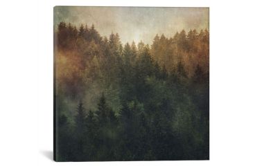 Image of iCanvas Asleep by Tordis Kayma Canvas Print, Multi, 18 x 18 TDS3-1PC3-18x18