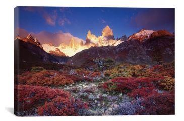 Image of iCanvas Autumn Foliage, Monte Fitz Roy, Parque Nacional los Glaciares, Patagonia, Argentina by Gareth McCormack Canvas Print, Multi, 12 x 18 GAR2-1PC3-18x12