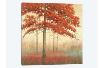 Image of iCanvas Autumn Trees II by James Wiens Canvas Print, Multi, 37x37x0.75 WAC1707-1PC3-37x37