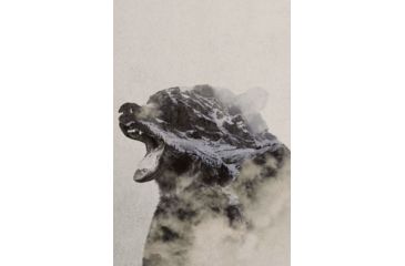 Image of iCanvas Bear In The Fog by Andreas Lie Canvas Print, Multi, 18x12 ALE164-1PC3-18x12