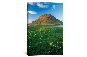 Image of iCanvas Buttercup Meadow II, Kirkjufell, Grundarfjordur, Snaefellsnes Peninsula, Vesturland, Iceland by Gareth McCormack Canvas Print, Multi, 18 x 12 GAR10-1PC3-18x12