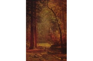 Image of iCanvas Dogwood By Albert Bierstadt Canvas Print, Multi, 26x18x0.75 1490-1PC3-26x18