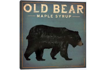 Image of iCanvas Old Bear By Ryan Fowler Canvas Print, Multi, 37x37x0.75 WAC1138-1PC3-37x37