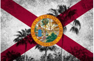 Image of iCanvas Florida Flag, Grudge Palm Trees Canvas Print, Multi, 40x26x0.75 FLG597-1PC3-40x26