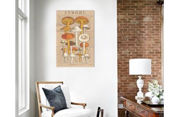Image of iCanvas Funghi Velenosi II By Wild Apple Portfolio Canvas Print, Multi, 40x26x0.75 WAC1972-1PC3-40x26