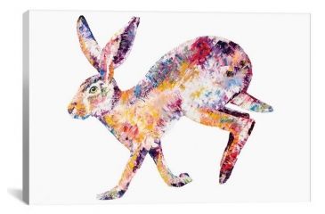 Image of iCanvas Hare by Becksy Canvas Print, Multi, 12 x 18 BEC22-1PC3-18x12
