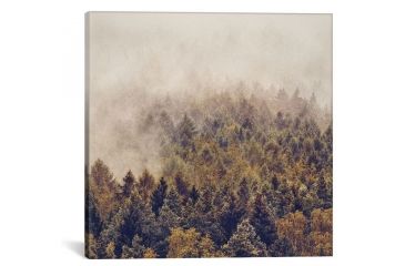 Image of iCanvas If You Had Stayed by Tordis Kayma Canvas Print, Multi, 18 x 18 TDS12-1PC3-18x18