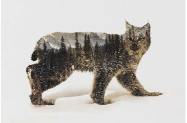 Image of iCanvas Lynx II by Andreas Lie Canvas Print, Multi, 18x12 ALE86-1PC3-18x12