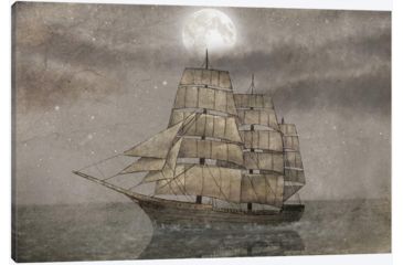 Image of iCanvas Night Journey by Terry Fan Canvas Print, Multi, 26x40x0.75 TFN139-1PC3-40x26