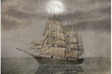 Image of iCanvas Night Journey by Terry Fan Canvas Print, Multi, 26x40x0.75 TFN139-1PC3-40x26