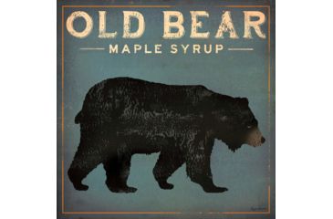 Image of iCanvas Old Bear By Ryan Fowler Canvas Print, Multi, 37x37x0.75 WAC1138-1PC3-37x37