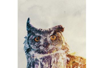 Image of iCanvas Owl by Andreas Lie Canvas Print, Multi, 18x18 ALE107-1PC3-18x18