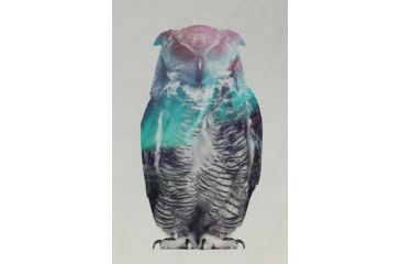 Image of iCanvas Owl by Andreas Lie Canvas Print, Multi, 18x12 ALE156-1PC3-18x12