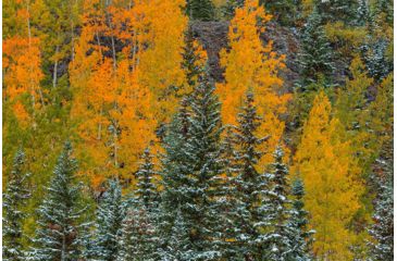 Image of iCanvas Pastel Splash by William Sherrell Canvas Print, Multi, 18x12 SHL161-1PC3-18x12