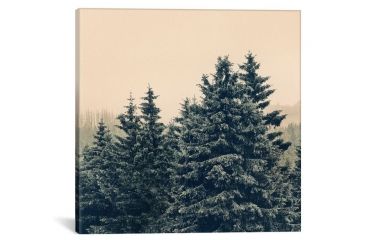 Image of iCanvas Strange Days by Tordis Kayma Canvas Print, Multi, 18 x 18 TDS16-1PC3-18x18