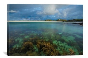 Image of iCanvas Underwater Garden I, Dog's Bay, Connemara, County Galway, Connacht Province, Republic Of Ireland by Gareth McCormack Canvas Print, Multi, 12 x 18 GAR97-1PC3-18x12