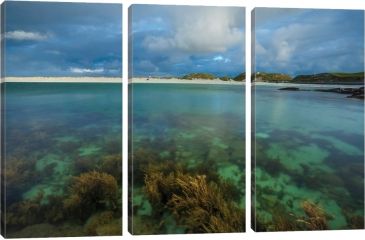 Image of iCanvas Underwater Garden I, Dog's Bay, Connemara, County Galway, Connacht Province, Republic Of Ireland by Gareth McCormack Canvas Print, Multi, 40 x 60 GAR97-3PC3-60x40