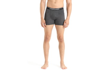 Image of Icebreaker Merino 150 Anatomica Boxers - Men's, Jet Heather, Small, IB103029011S