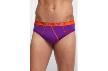 Image of Icebreaker Anatomica Briefs - Men's-Emperor Spark-Large