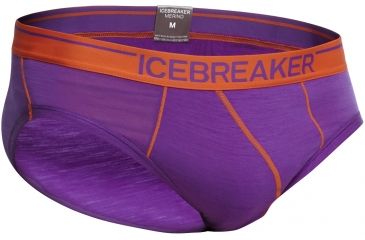 Image of Icebreaker Anatomica Briefs - Mens