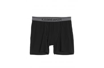 Image of Icebreaker Anatomica Relaxed Boxer with Fly - Mens