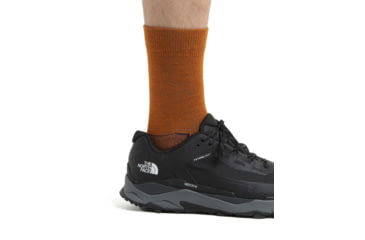 Image of Icebreaker Hike+ Light Crew Socks - Mens, Earth/Nightshade/Lazurite, Extra Large, IB105103925XL
