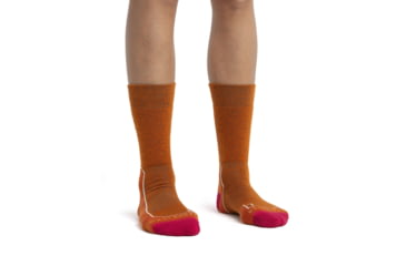 Image of Icebreaker Hike+ Light Medium Crew Socks - Women's, Earth/Electron Pink/Snow, Small, IB105097970S