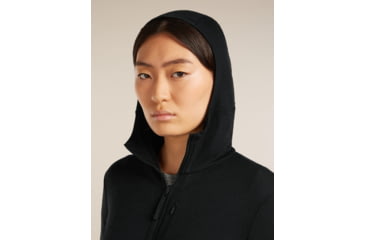 Image of Icebreaker Merino 260 Quantum Long Sleeve Zip Hoodie - Womens