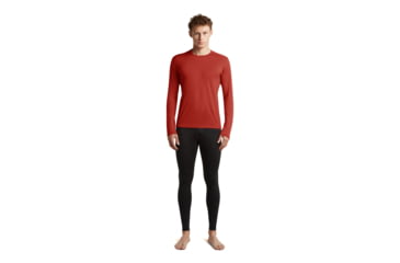 Image of Icebreaker Merino 260 Tech Long Sleeve Crewe Thermal Top - Mens