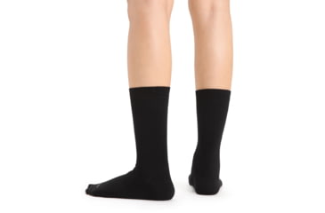 Image of Icebreaker Lifestyle Fine Gauge Crew Socks - Womens, Black, Small, IB105253001SM