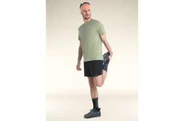 Image of Icebreaker Merino Blend 125 Cool-Lite Sphere SS T-Shirt - Men's, Lichen, Large, IB0A56ZMA74L
