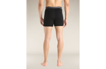 Image of Icebreaker Merino 150 Anatomica Boxers - Mens, Black, Small, IB103029001S