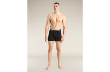 Image of Icebreaker Merino 150 Anatomica Boxers - Mens, Black, Small, IB103029001S