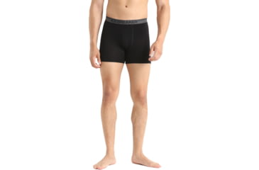 Image of Icebreaker Merino 150 Anatomica Boxers - Mens, Black, Small, IB103029001S
