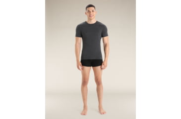 Image of Icebreaker Merino 150 Anatomica SS Crewe - Mens, Jet Hthr, Large, IB103033011L