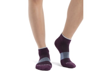 Image of Icebreaker Multisport Light Mini Socks - Womens, Nightshade/Snow/Kyanite, Small, IB105127982S