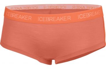 Image of Icebreaker Sprite Hot Pant - Women's-Metro/Vivid-Large